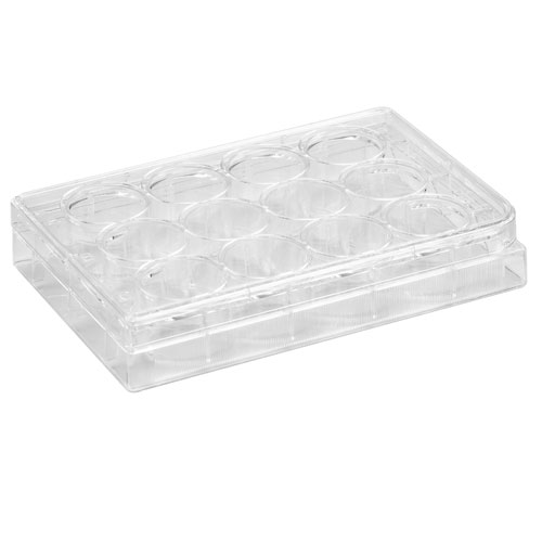 Cell Culture Plate | Sterile Plates - Dynalon