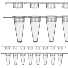 PCR 8-Strip Tubes